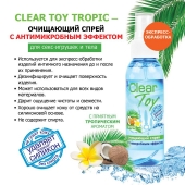 Очищающий спрей для игрушек CLEAR TOY Tropic - 100 мл. - Биоритм - купить с доставкой в Евпатории