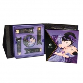 Подарочный набор Geishas secret из 5 предметов - Shunga - купить с доставкой в Евпатории