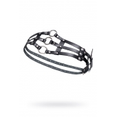 Черный кожаный пояс с кольцами - Pecado - купить с доставкой в Евпатории