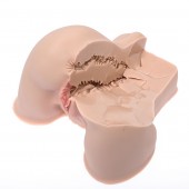 Мастурбатор-полуторс Naked Factory Kate - Naked Factory - в Евпатории купить с доставкой