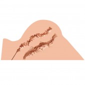 Мастурбатор-полуторс Naked Factory Hannah - Naked Factory - в Евпатории купить с доставкой