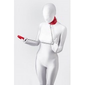 Красный ошейник с подкладкой из меха - ToyFa - купить с доставкой в Евпатории