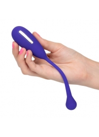 Фиолетовый шарик с электростимуляцией и вибрацией Intimate E-Stimulator Remote Kegel Exerciser - California Exotic Novelties - купить с доставкой в Евпатории