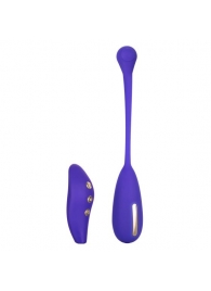 Фиолетовый шарик с электростимуляцией и вибрацией Intimate E-Stimulator Remote Kegel Exerciser - California Exotic Novelties - купить с доставкой в Евпатории