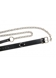 Черный ошейник с поводком Wild - Lola Games - купить с доставкой в Евпатории