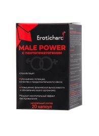 Капсулы для мужчин Erotichard male power с пантогематогеном - 20 капсул (0,370 гр.) - Erotic Hard - купить с доставкой в Евпатории