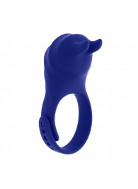 Синее эрекционное виброкольцо с клиторальной подушечкой и пультом ДУ Adjustable Fun Ring - Zero Tolerance - в Евпатории купить с доставкой