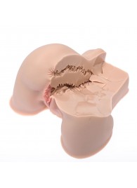 Мастурбатор-полуторс Naked Factory Kate - Naked Factory - в Евпатории купить с доставкой