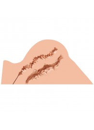 Мастурбатор-полуторс Naked Factory Hannah - Naked Factory - в Евпатории купить с доставкой