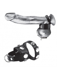 Утяжка для мошонки и пениса Cock Ring With 1  Ball Stretcher And Optional Weight Ring - BlueLine - купить с доставкой в Евпатории