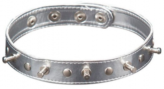 Серебристый ошейник с шипами - Sitabella - купить с доставкой в Евпатории