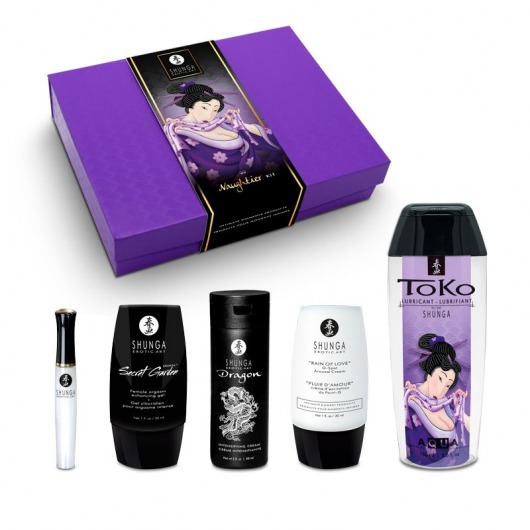 Подарочный набор Naughter Kit - Shunga - купить с доставкой в Евпатории