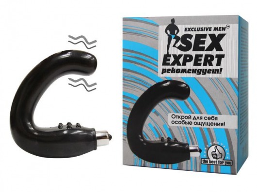 Чёрный массажёр простаты серии Sex Expert - Sex Expert - в Евпатории купить с доставкой