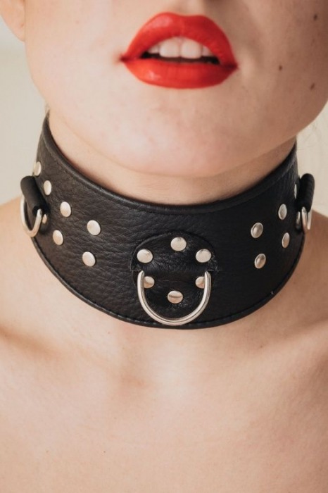 Кожаный ошейник для эротических игр - БДСМ Арсенал - купить с доставкой в Евпатории