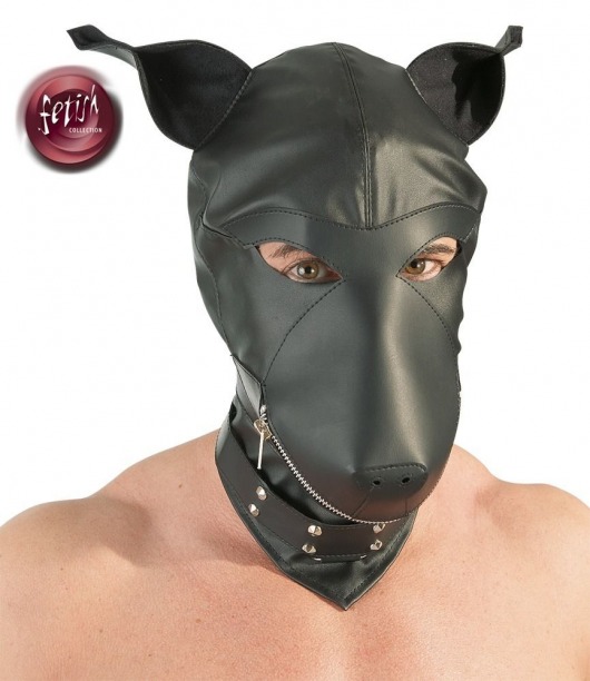 Шлем-маска Dog Mask в виде морды собаки - Orion - купить с доставкой в Евпатории