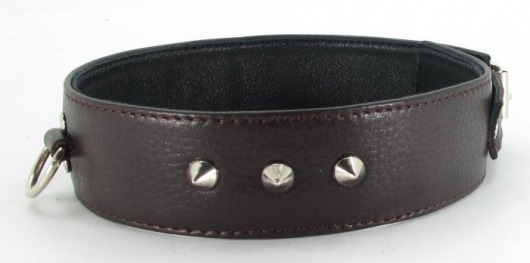 Коричневый кожаный ошейник с кольцом увеличенного размера - БДСМ Арсенал - купить с доставкой в Евпатории