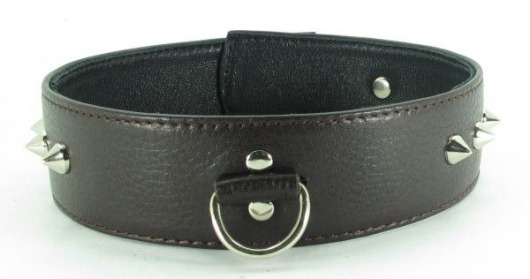 Коричневый кожаный ошейник с кольцом увеличенного размера - БДСМ Арсенал - купить с доставкой в Евпатории