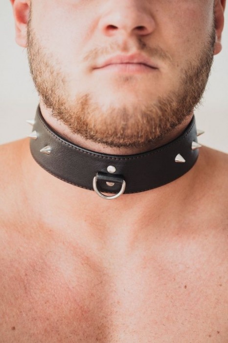 Коричневый кожаный ошейник с кольцом увеличенного размера - БДСМ Арсенал - купить с доставкой в Евпатории
