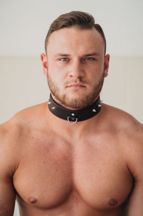 Коричневый кожаный ошейник с кольцом увеличенного размера - БДСМ Арсенал - купить с доставкой в Евпатории