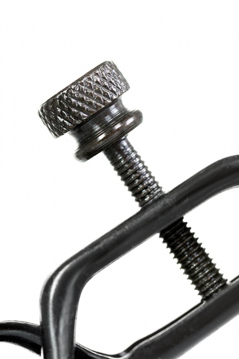 Черно-золотистые зажимы для сосков TOYFA Theatre - ToyFa - купить с доставкой в Евпатории